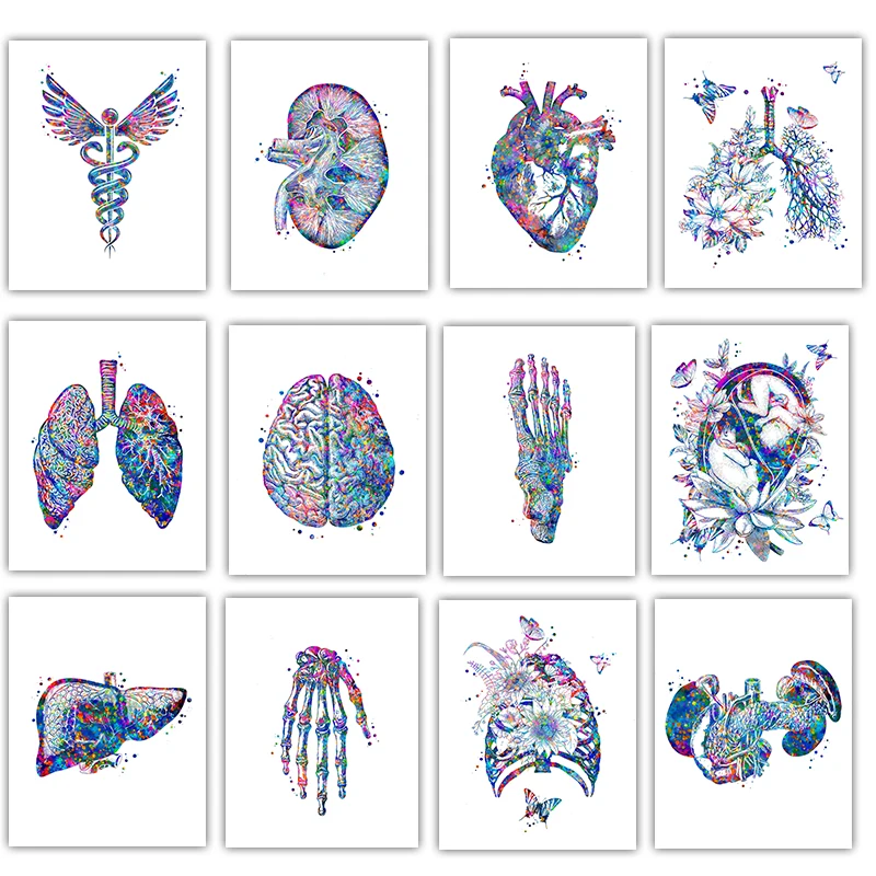 Medical Lab Posters - Anatomy Medical Poster Flower Organ Wall