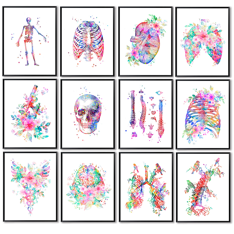 Medical Lab Posters - Anatomie Medische Poster Bloem Orgaan Muurkunst