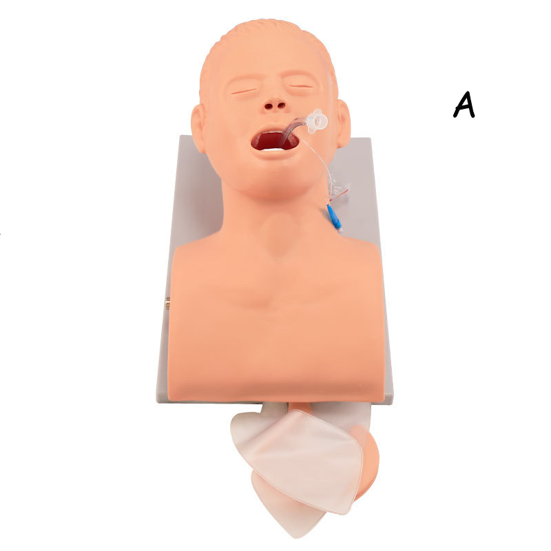 PVC volwassen intubatie oefenp - Medical Lab Management recensie en prijs