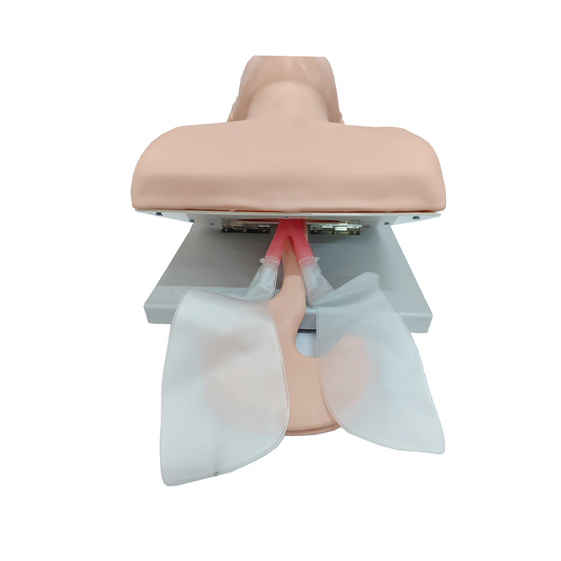 PVC volwassen intubatie oefenp - Medical Lab Management recensie en prijs