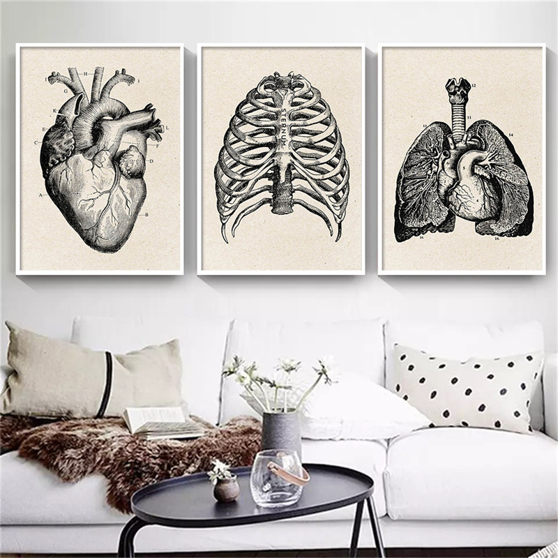 Medische Anatomie Kunstwerk Ca - Medical Lab Posters recensie en prijs