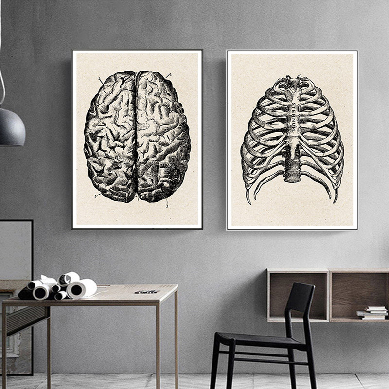 Medische Anatomie Kunstwerk Ca - Medical Lab Posters recensie en prijs