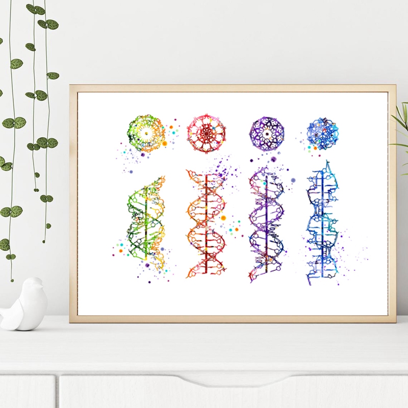DNA Molecuul Print Moderne Med - Medical Lab Posters recensie en prijs